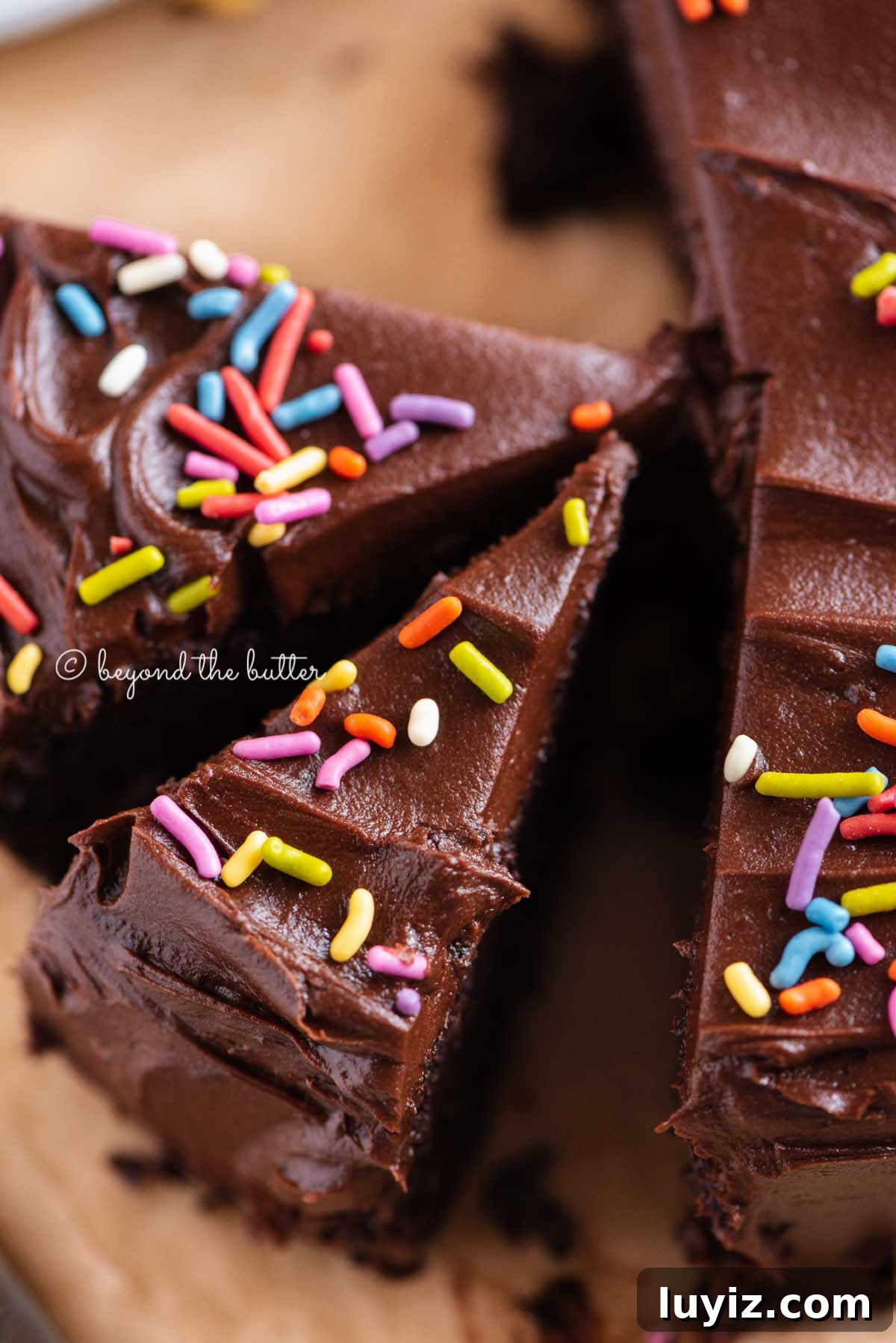 Decadent Single-Layer Chocolate Cake Recipe for One Pan 14 Overhead closeup image of single layer chocolate cake with slices cut and randomly placed by the cake | All Images © Beyond the Butter®