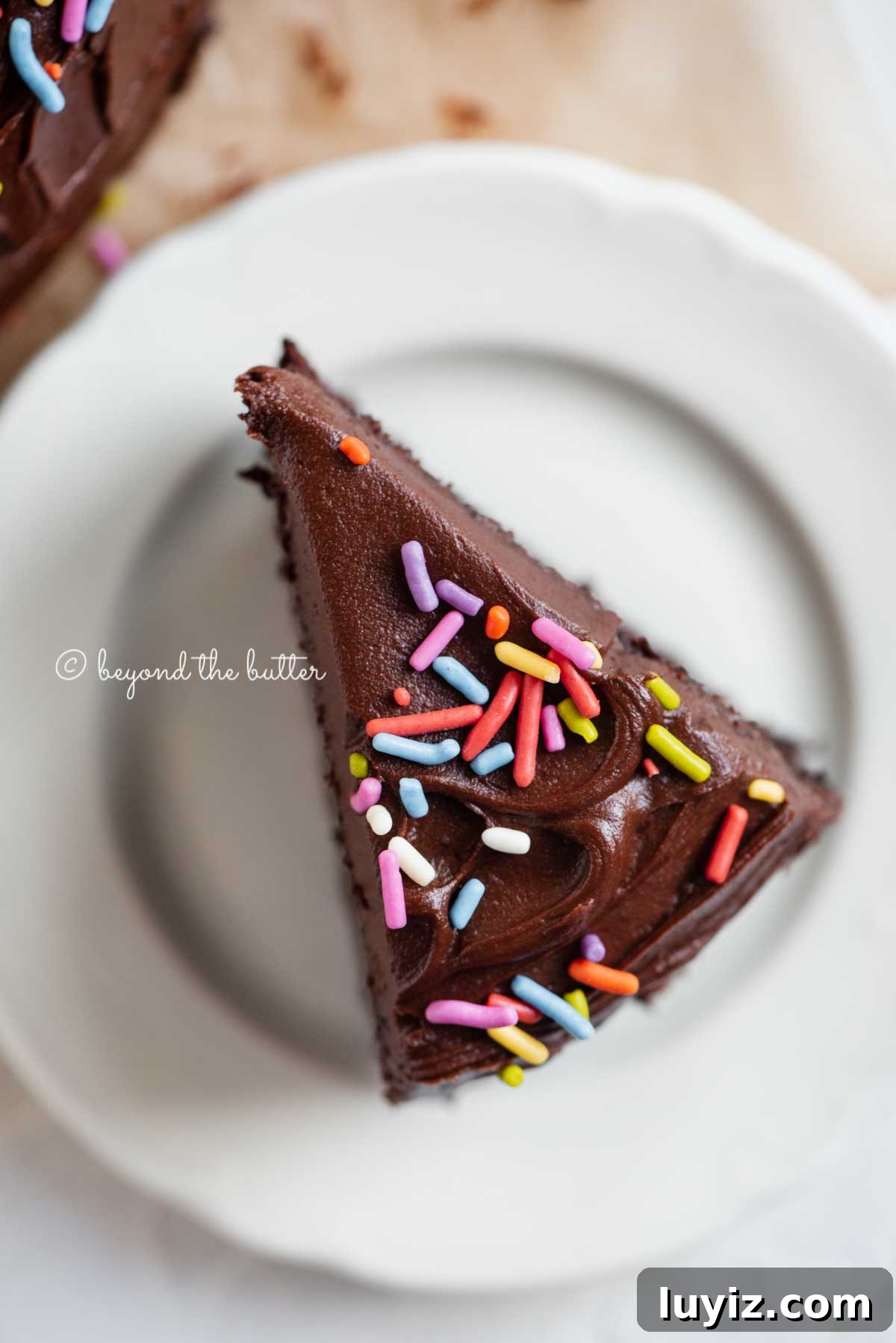 Decadent Single-Layer Chocolate Cake Recipe for One Pan 3 Overhead closeup image of single slice of 6 inch chocolate cake on white dessert plate | All Images © Beyond the Butter®