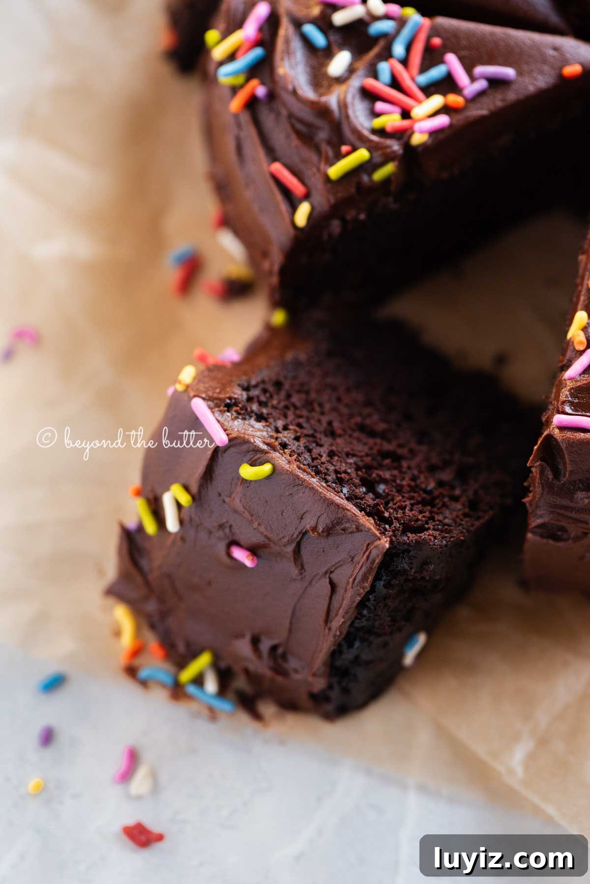 Decadent Single-Layer Chocolate Cake Recipe for One Pan 4 Angled closeup image of single layer chocolate cake with slices cut and randomly placed by the cake | All Images © Beyond the Butter®