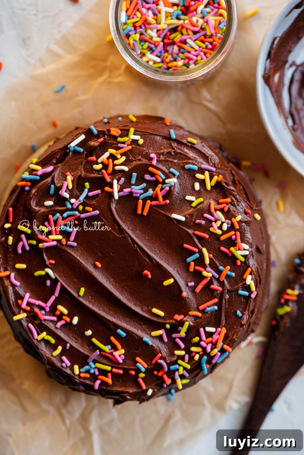 Decadent Single-Layer Chocolate Cake Recipe for One Pan 6 Overhead image of single layer chocolate cake with bowl of milk chocolate frosting | All Images © Beyond the Butter®