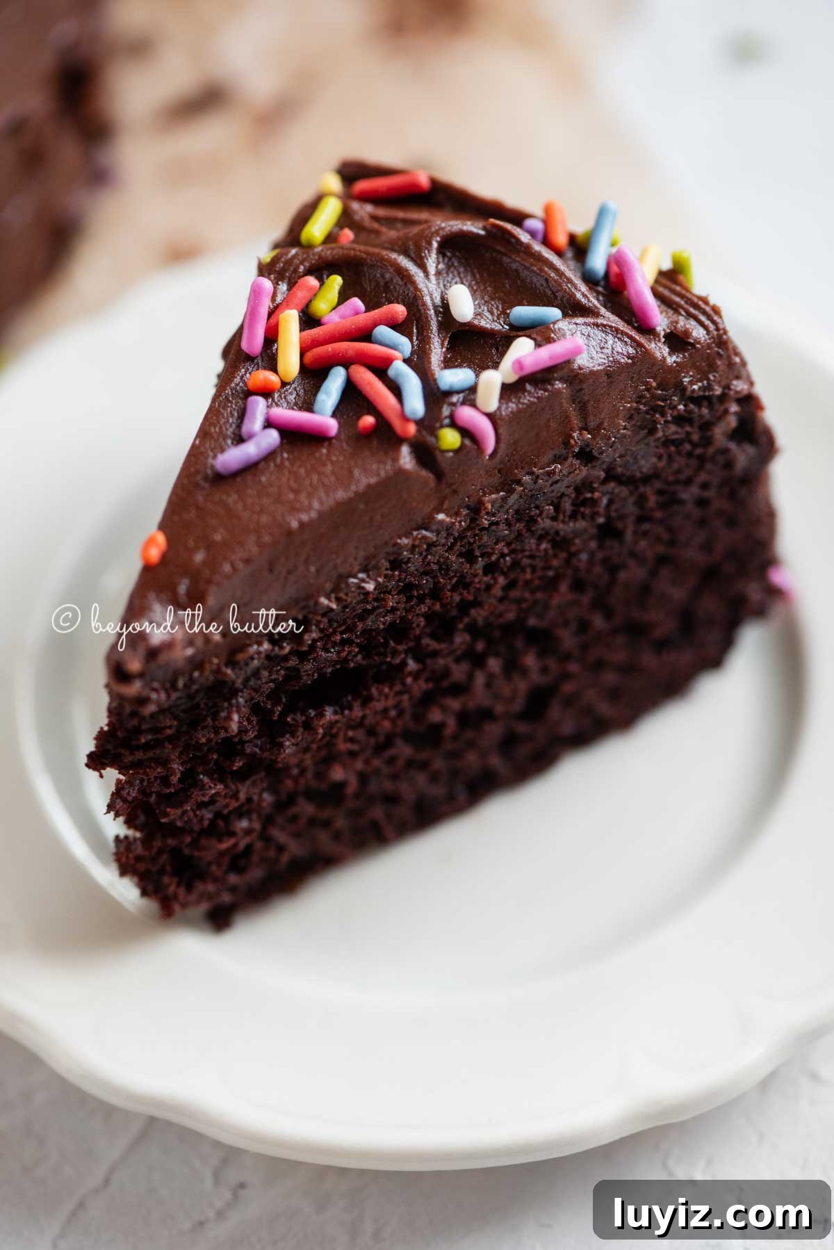 Decadent Single-Layer Chocolate Cake Recipe for One Pan 7 Angled closeup image of single slice of 6 inch chocolate cake on white dessert plate | All Images © Beyond the Butter®