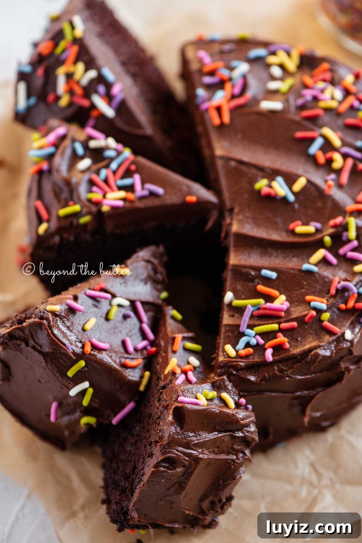 Decadent Single-Layer Chocolate Cake Recipe for One Pan 8 Overhead image of single layer chocolate cake with slices cut and randomly placed by the cake | All Images © Beyond the Butter®