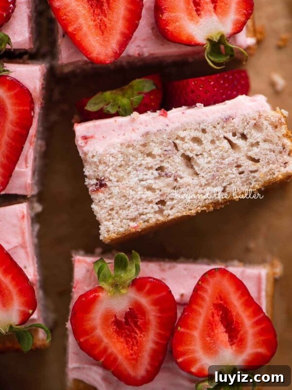 Decadent Single-Layer Chocolate Cake Recipe for One Pan 10 Slices of mini strawberry sheet cake topped with strawberry buttercream frosting and fresh strawberries with one slice on its side.