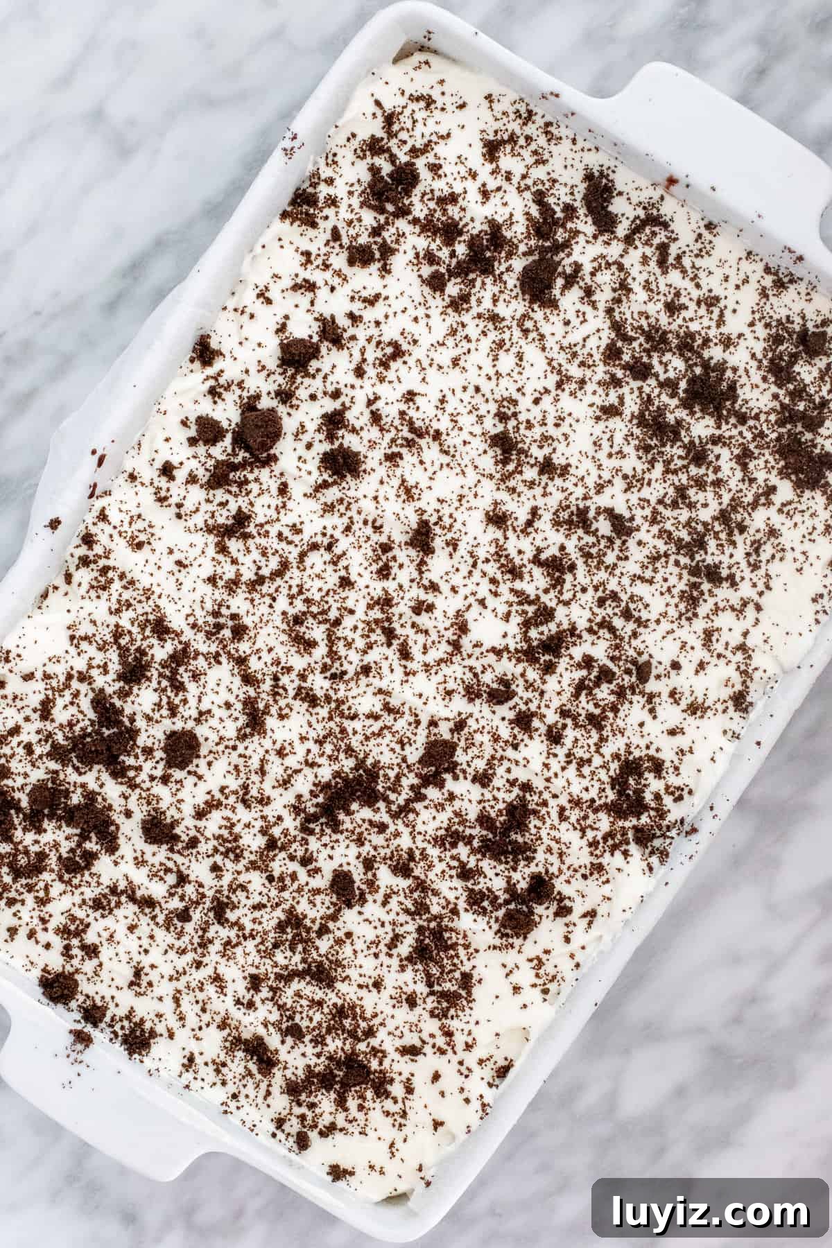 Ultimate Oreo Ice Cream Cake Recipe for Celebrations 4 Pan of Oreo ice cream cake.