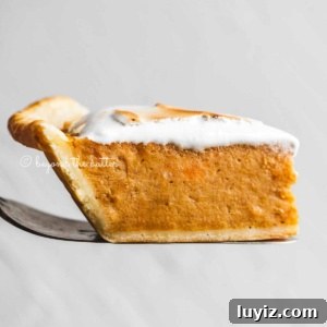 Brown Sugar Sweet Potato Pie Recipe — Classic Southern Dessert 14 Side view of sweet potato pie slice
