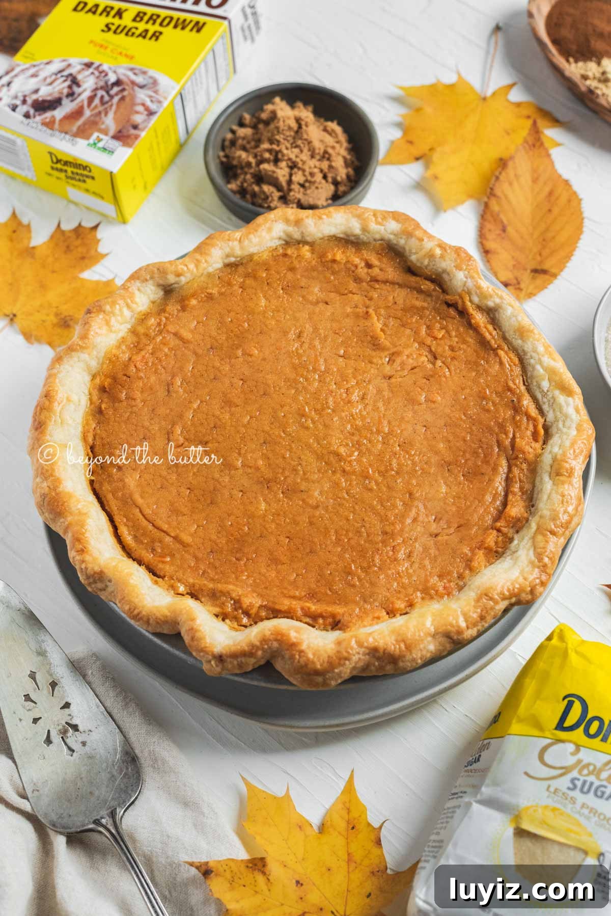 Brown Sugar Sweet Potato Pie Recipe — Classic Southern Dessert 3 Angled image of sweet potato pie without marshmallow meringue