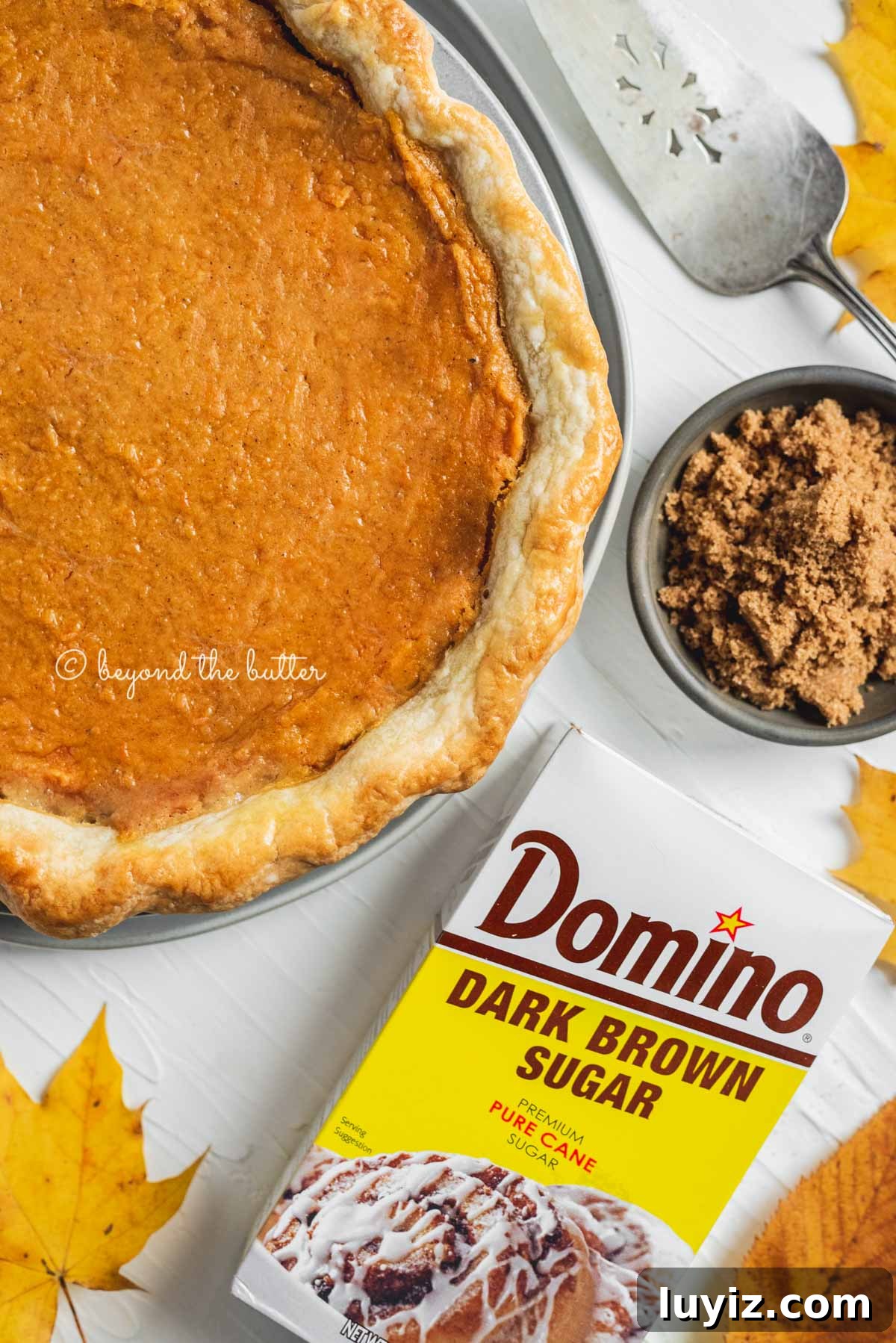 Brown Sugar Sweet Potato Pie Recipe — Classic Southern Dessert 6 Overhead image of sweet potato pie