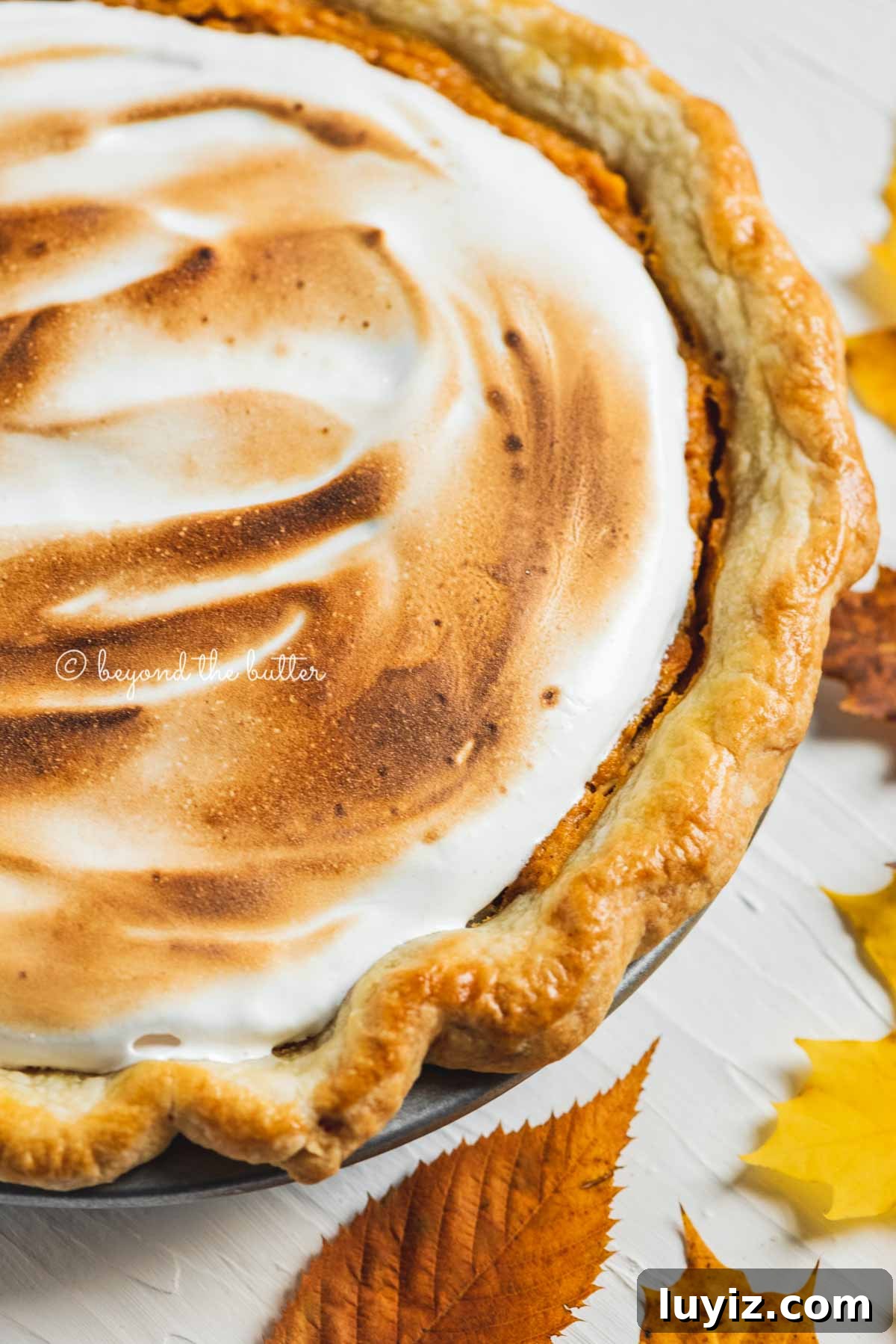 Brown Sugar Sweet Potato Pie Recipe — Classic Southern Dessert 8 Brown sugar sweet potato pie with marshmallow meringue