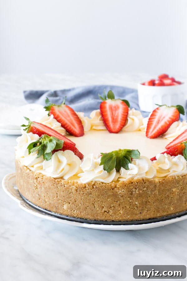 No-Bake Cheesecake Recipe with a Creamy Graham Cracker Crust 3 No-bake cheesecake with a graham crumb crust around the edges and whipped cream and strawberries on top.