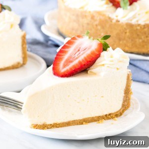 Slice of no bake cheesecake with crunchy graham crumb crust on a plate.