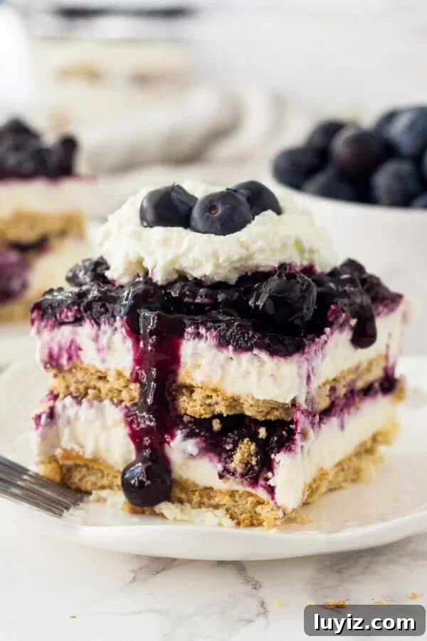 No-Bake Blueberry Cheesecake Icebox Cake Recipe 2 Blueberry Cheesecake Icebox Cake with layers of graham crackers, creamy no-bake cheesecake, and blueberries.