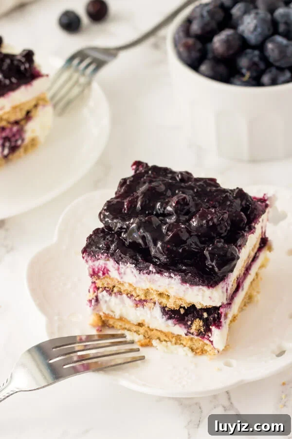 Blueberry icebox cake showing graham cracker layers and blueberry filling.