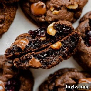 Dark Chocolate Cranberry Walnut Cookie Recipe for Holidays 11 Dark chocolate cranberry walnut cookie split in half to see the inside.