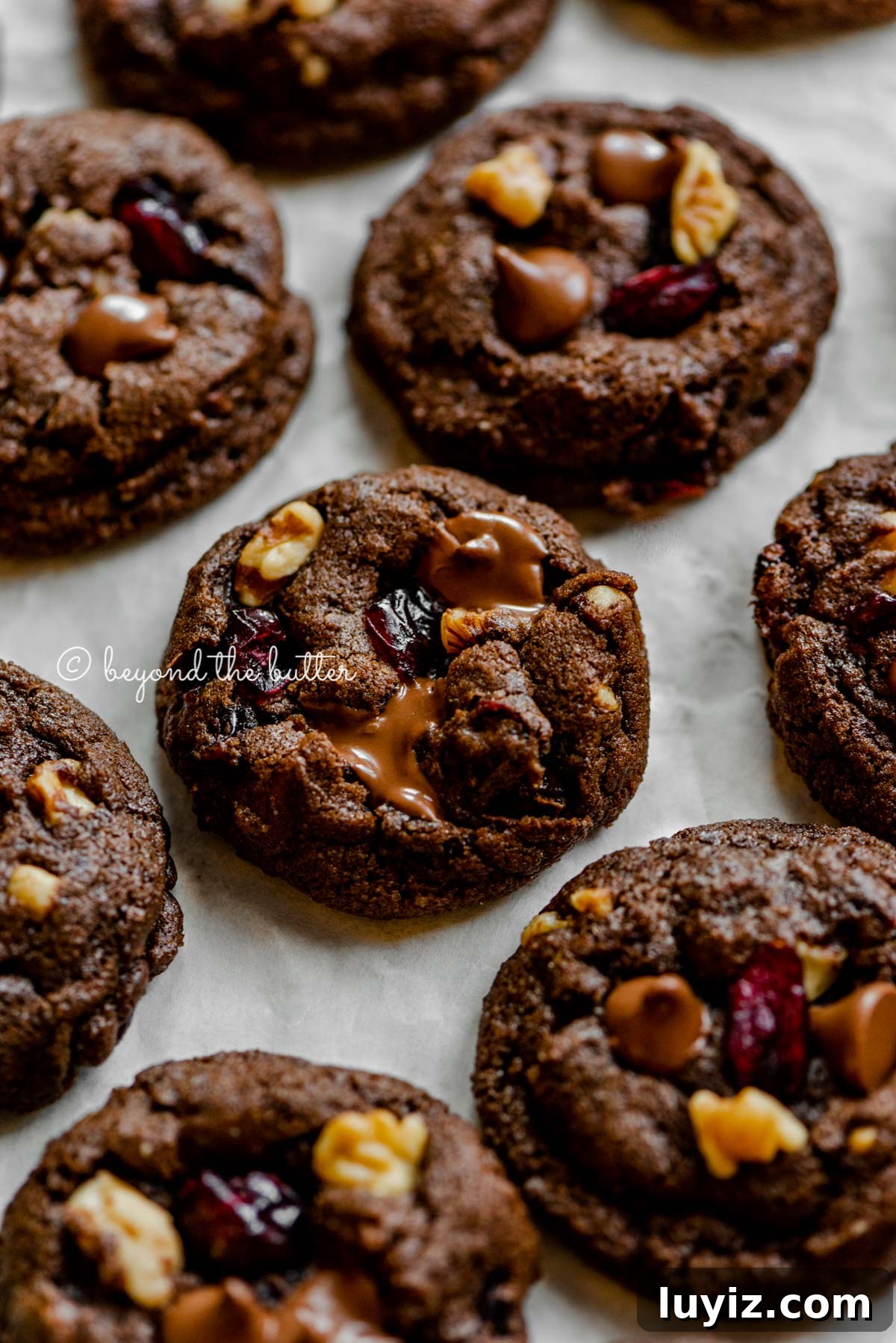 Dark Chocolate Cranberry Walnut Cookie Recipe for Holidays 3 Dark chocolate cranberry walnut cookies on light gray background | All Images © Beyond the Butter®