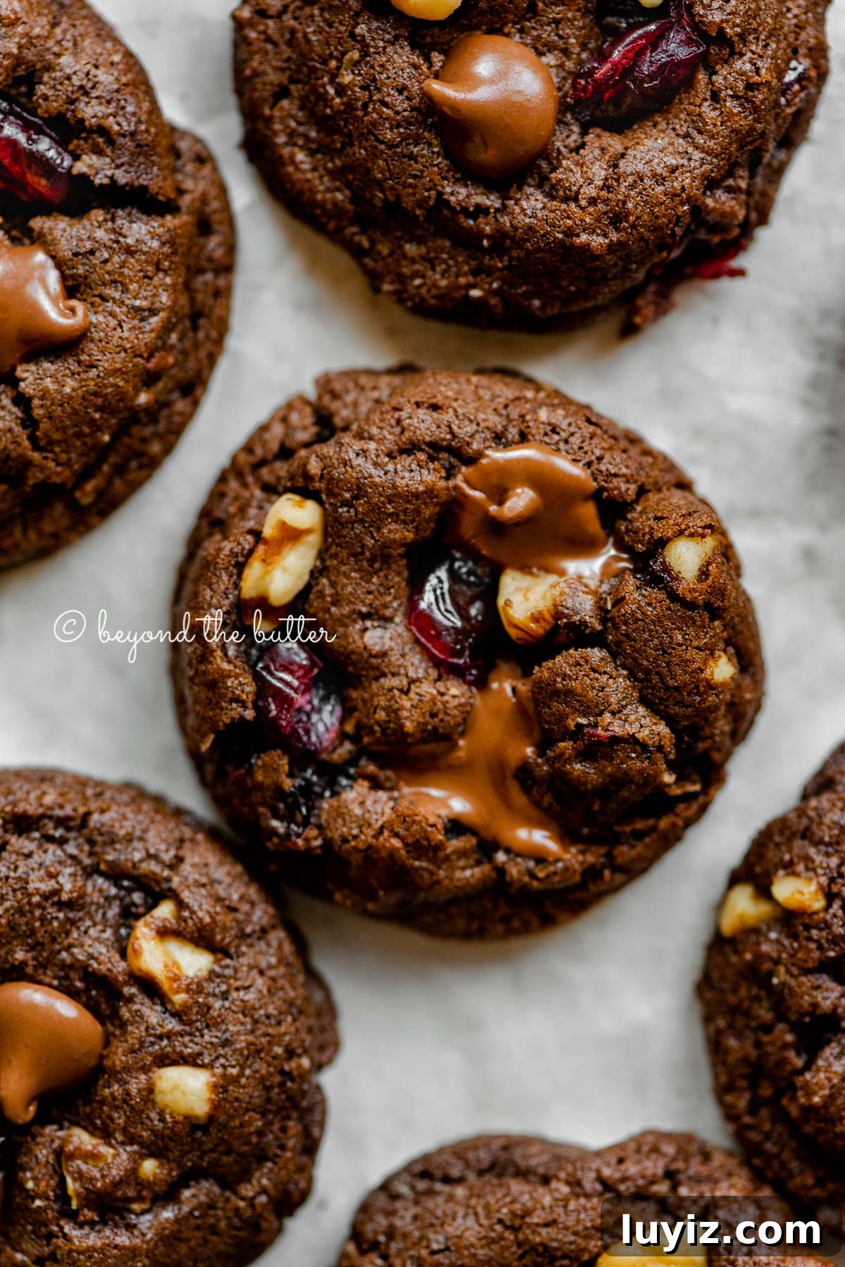 Dark Chocolate Cranberry Walnut Cookie Recipe for Holidays 4 Dark chocolate cranberry walnut cookies on light gray background | All Images © Beyond the Butter®