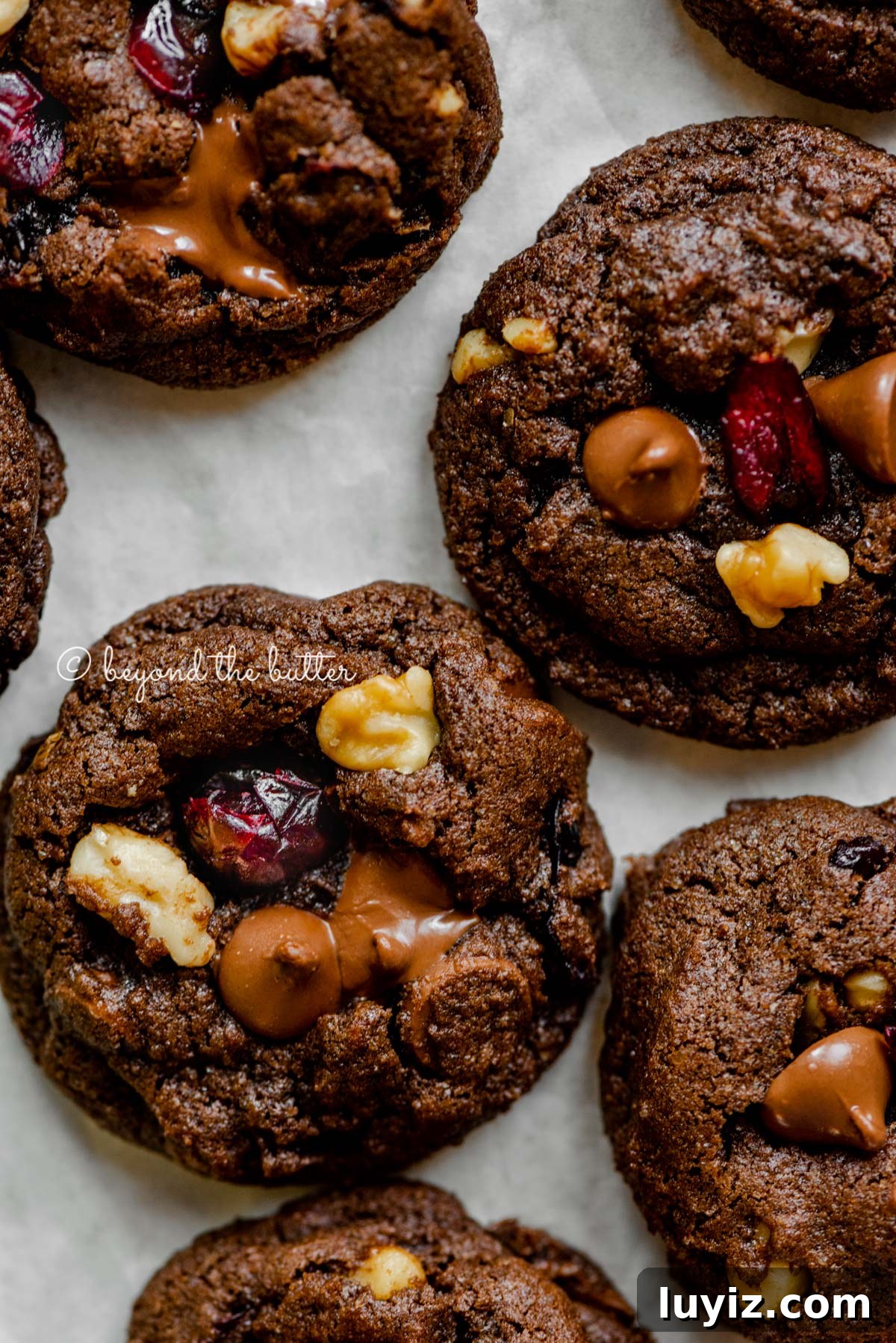 Dark Chocolate Cranberry Walnut Cookie Recipe for Holidays 6 Dark chocolate cranberry walnut cookies on light gray background | All Images © Beyond the Butter®