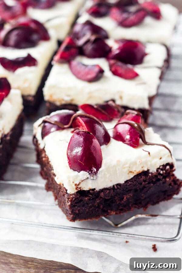 Forget black forest cake - make black forest brownies instead. So fudgy and topped with fresh cherries.