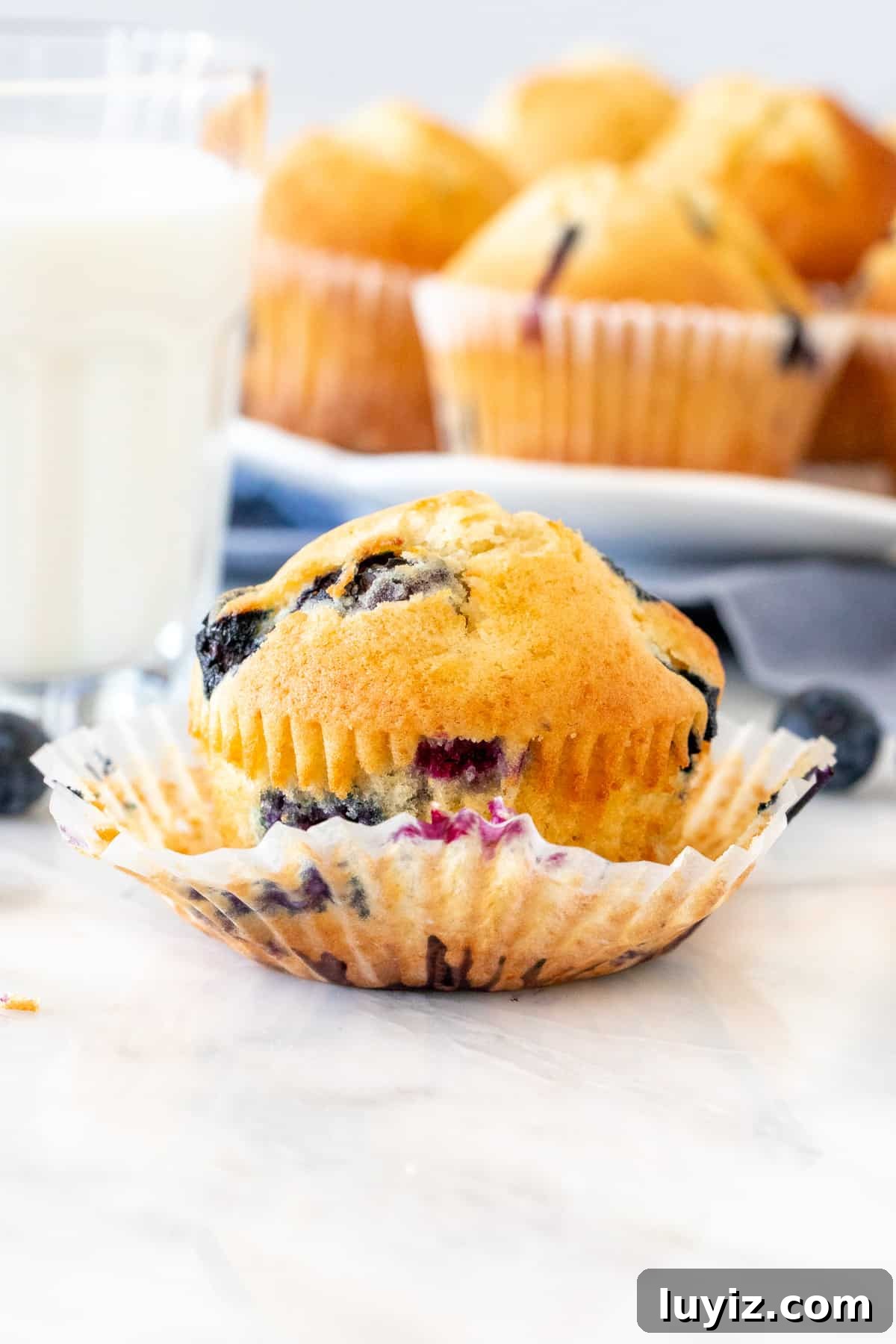 Quick Blueberry Muffins Recipe Ready in 30 Minutes 2 Blueberry muffin with a glass of milk