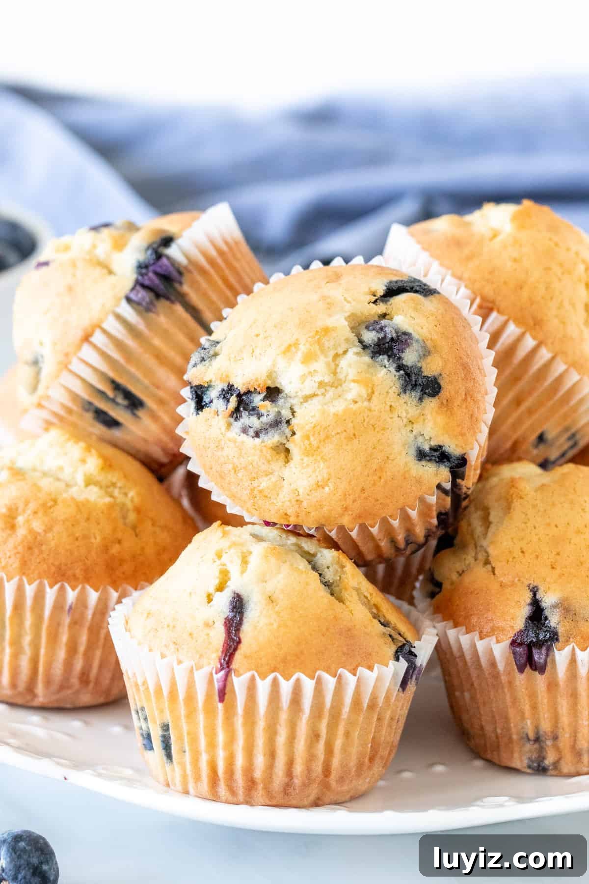 Quick Blueberry Muffins Recipe Ready in 30 Minutes 3 Plate of sour cream blueberry muffins