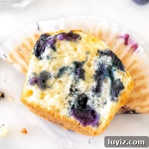 Half of a blueberry muffin
