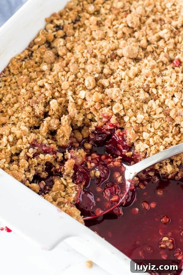 Homemade Cherry Crisp with Oat Topping Recipe 5 A 9x13 inch pan of cherry crisp fresh from the oven, with a close up on the serving spoon with juicy cherries.