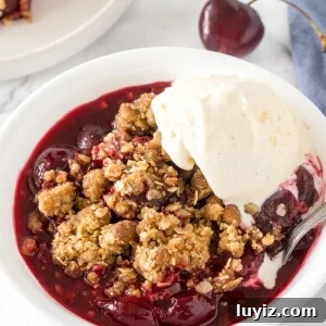 A bowl of cherry crisp with brown sugar oatmeal topping and a scoop of vanilla ice cream.