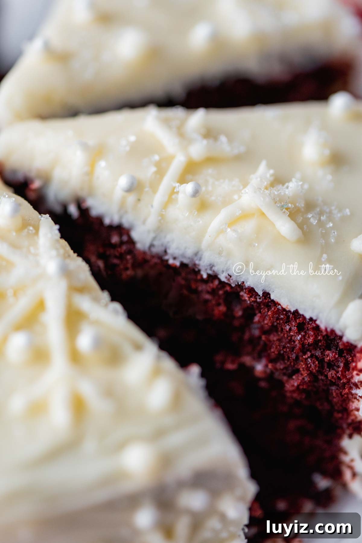 Simple Single-Layer Red Velvet Cake Recipe for Perfect Results 8 Closeup of sliced red velvet cake with cream cheese frosting on a scalloped edge dessert plate with red plaid background | All Images © Beyond the Butter®