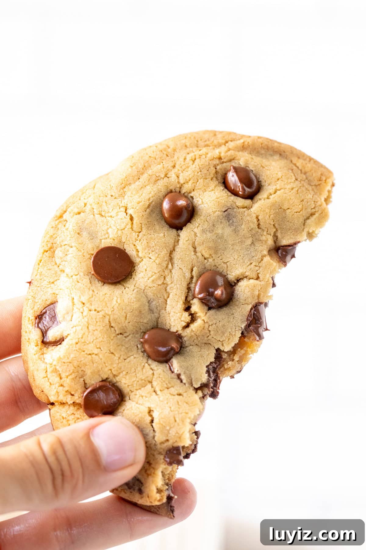 Single-Serve Chocolate Chip Cookie Recipe (Microwave or Oven) 7 Half of a chocolate chip cookie for one