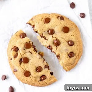 Giant chocolate chip cookie broken in half