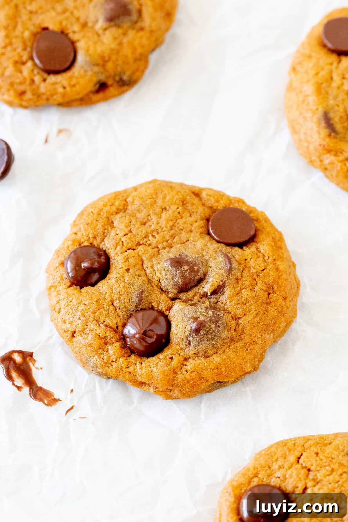 Pumpkin Chocolate Chip Cookie Recipe for Soft, Chewy Treats 2 Pumpkin chocolate chip cookies on baking paper.