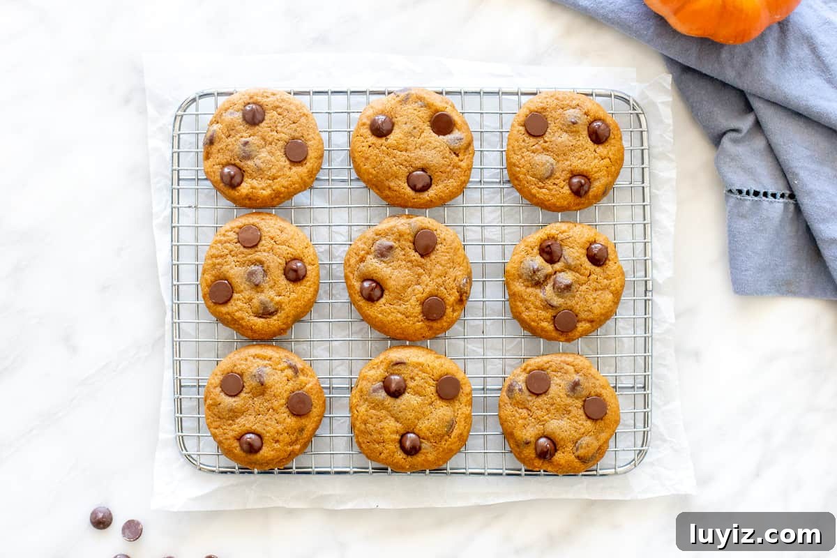 Pumpkin Chocolate Chip Cookie Recipe for Soft, Chewy Treats 3 Soft pumpkin cookies on a cooling rack.