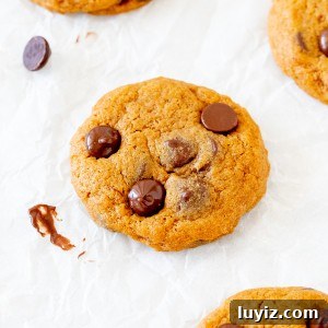 Pumpkin Chocolate Chip Cookie Recipe for Soft, Chewy Treats 6 Pumpkin cookies with chocolate chips