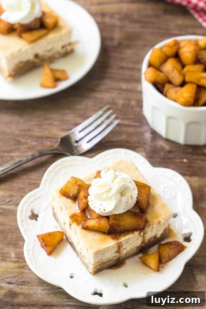Apple Cheesecake Bars with Cinnamon Streusel Recipe 4 Apple cheesecake bars plated