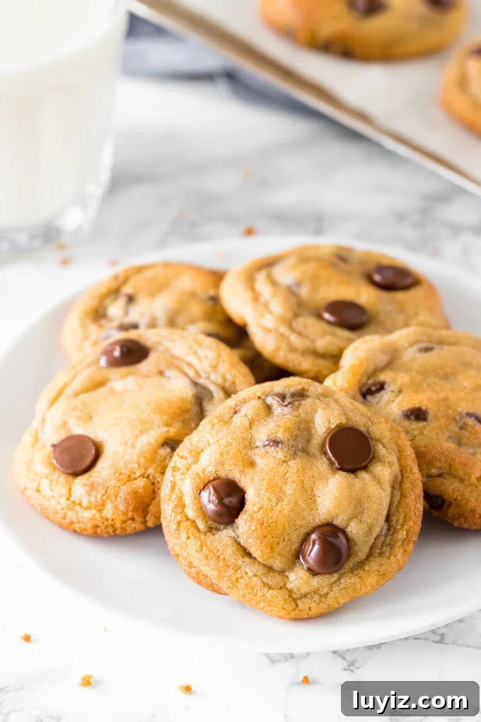 Chewy Chocolate Chip Pudding Cookies Recipe 2 A plate of chewy chocolate chip pudding cookies with a glass of milk.