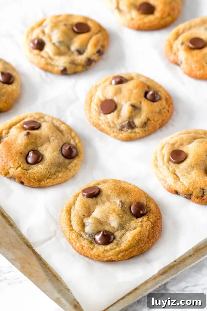 Chewy Chocolate Chip Pudding Cookies Recipe 4 Chocolate chip pudding cookies fresh from the oven - the best kind of cookies around.