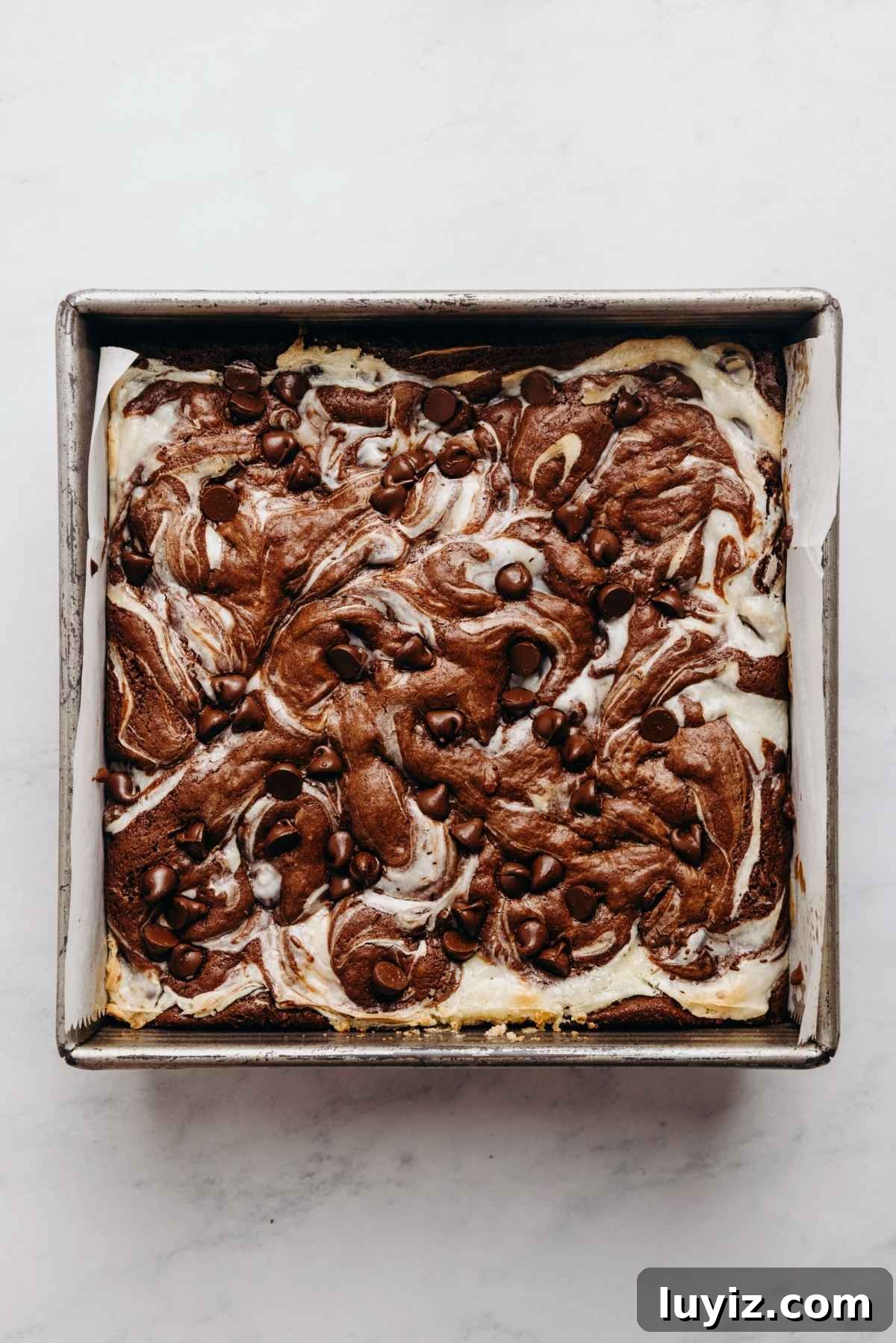 Cream Cheese Swirled Chocolate Chip Brownies 16 Baked chocolate chip cream cheese brownies in a pan.