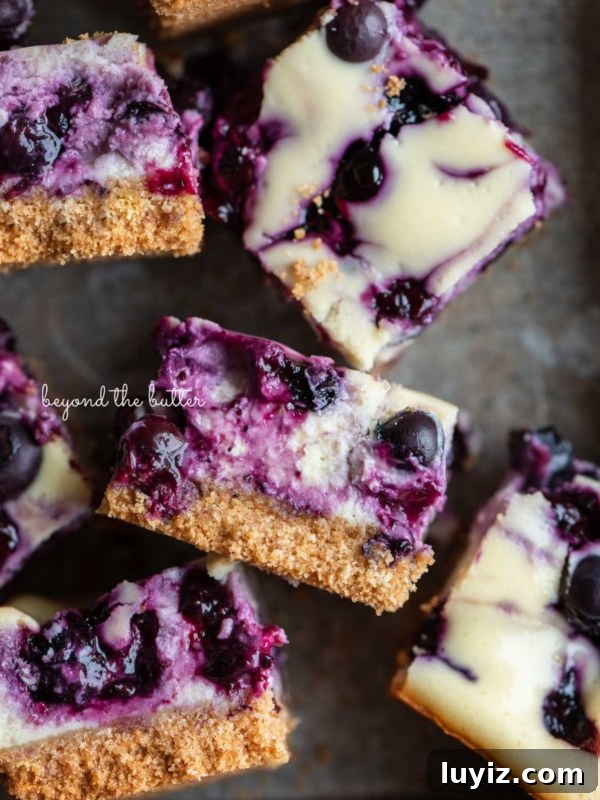 Cream Cheese Swirled Chocolate Chip Brownies 18 Sliced blueberry swirl cheesecake bars in a baking tin.
