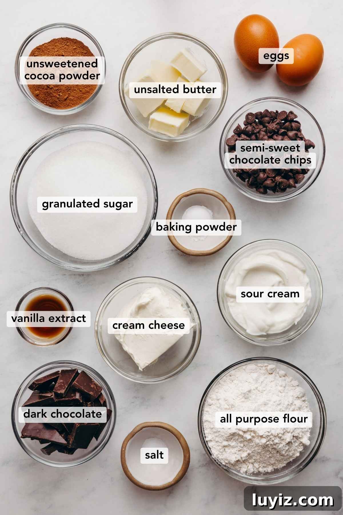 Cream Cheese Swirled Chocolate Chip Brownies 5 Ingredients in bowls including cocoa powder, butter, eggs, sugar, baking powder, chocolate chips, vanilla, cream cheese, sour cream, dark chocolate, salt, and flour.