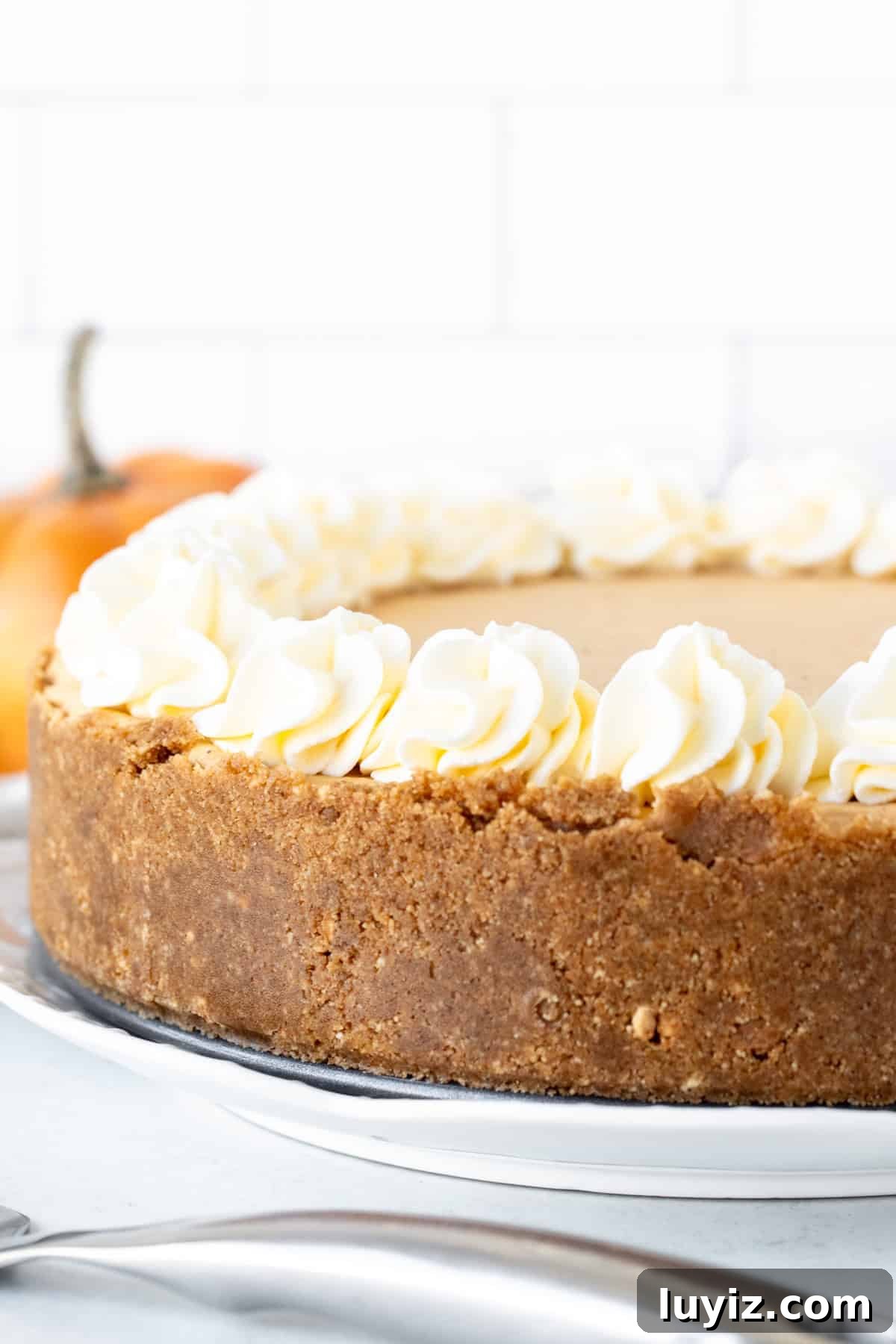 No-Bake Pumpkin Cheesecake Recipe: Creamy Fall Dessert in Minutes 3 9-inch round no bake pumpkin cheesecake with thick graham crust around the edges and whipped cream on top.