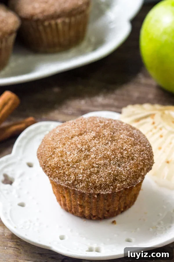These moist applesauce muffins have a delicious apple cinnamon flavor and are sweetened with applesauce. The cinnamon sugar topping makes them extra drool worthy.