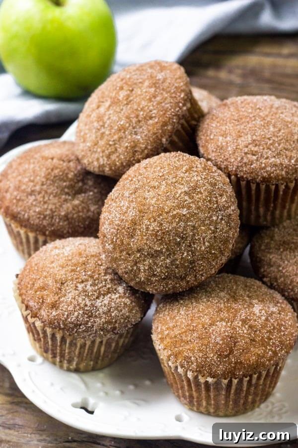 Moist Applesauce Muffins with Cinnamon Streusel Topping 3 Applesauce muffins are extra moist, filled with warm apple, and topped with cinnamon sugar.