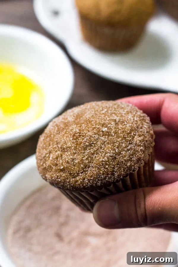 Moist Applesauce Muffins with Cinnamon Streusel Topping 4 Apple muffins are dipped in cinnamon sugar right after they come out of the oven.