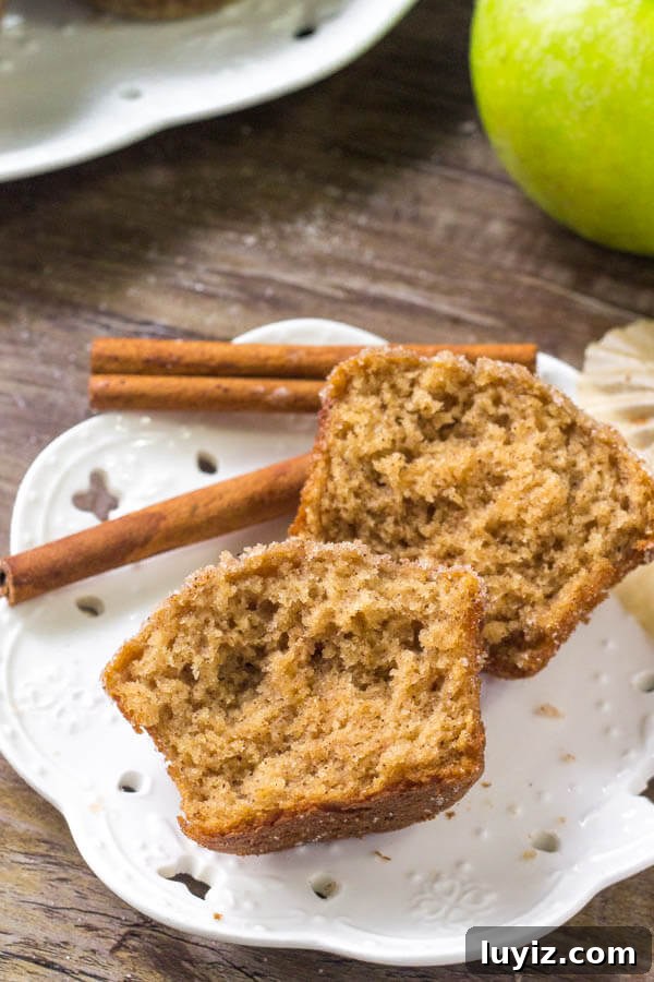 Moist Applesauce Muffins with Cinnamon Streusel Topping 5 Applesauce muffin recipe - this easy apple muffin recipe is filled with cinnamon and apples.