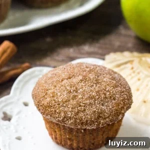 These moist applesauce muffins have a delicious apple cinnamon flavor and are sweetened with applesauce. The cinnamon sugar topping makes them extra drool worthy.