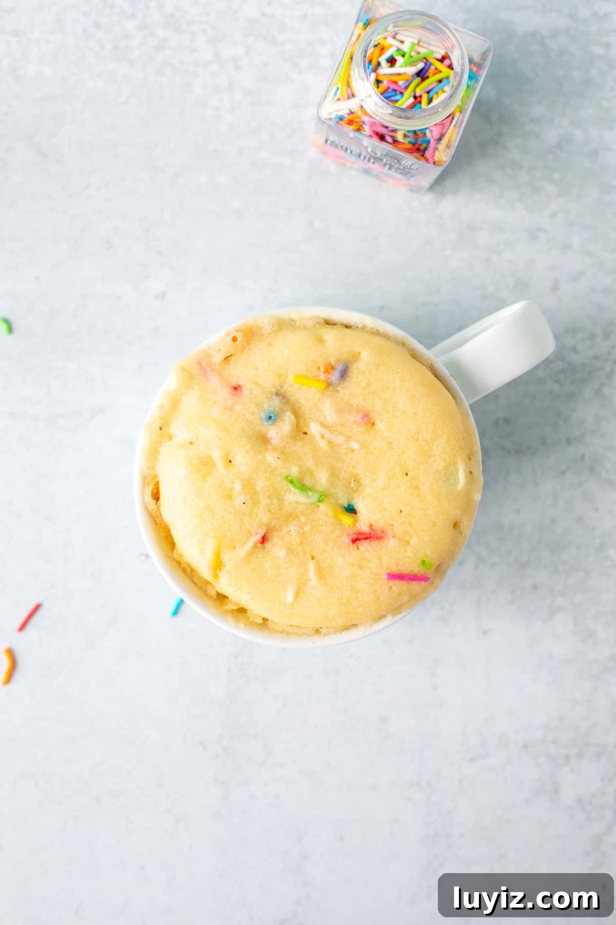 Quick Vanilla Mug Cake Recipe for One — Ready in Minutes 6 Baked sprinkle mug cake
