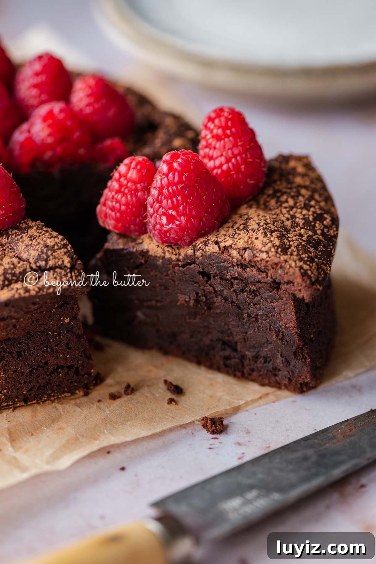 Flourless Mini Chocolate Cake Recipe for Rich Dessert 4 Sliced small flourless chocolate cake topped with cocoa powder and fresh raspberries on parchment paper | All images © Beyond the Butter®