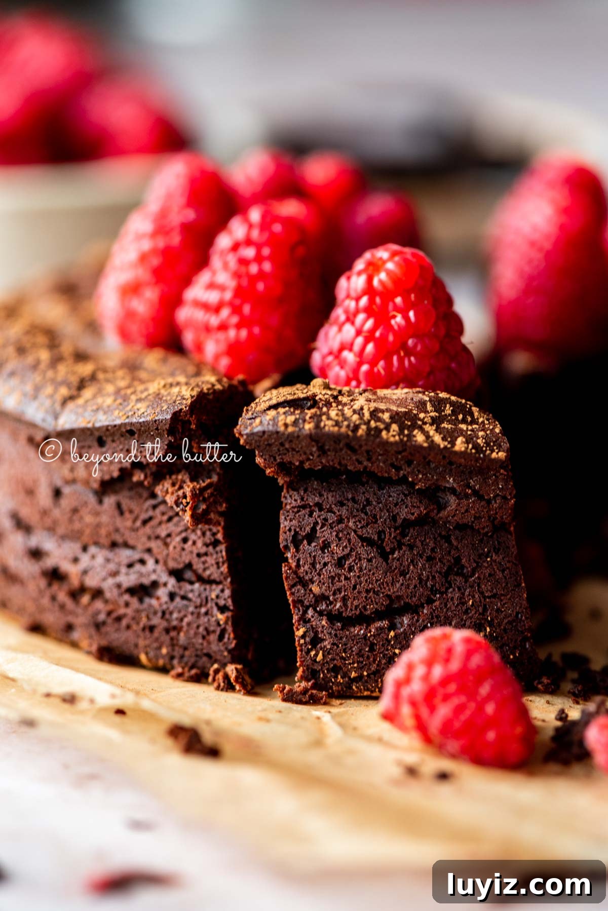 Flourless Mini Chocolate Cake Recipe for Rich Dessert 6 Sliced small flourless chocolate cake topped with cocoa powder and fresh raspberries on parchment paper | All images © Beyond the Butter®