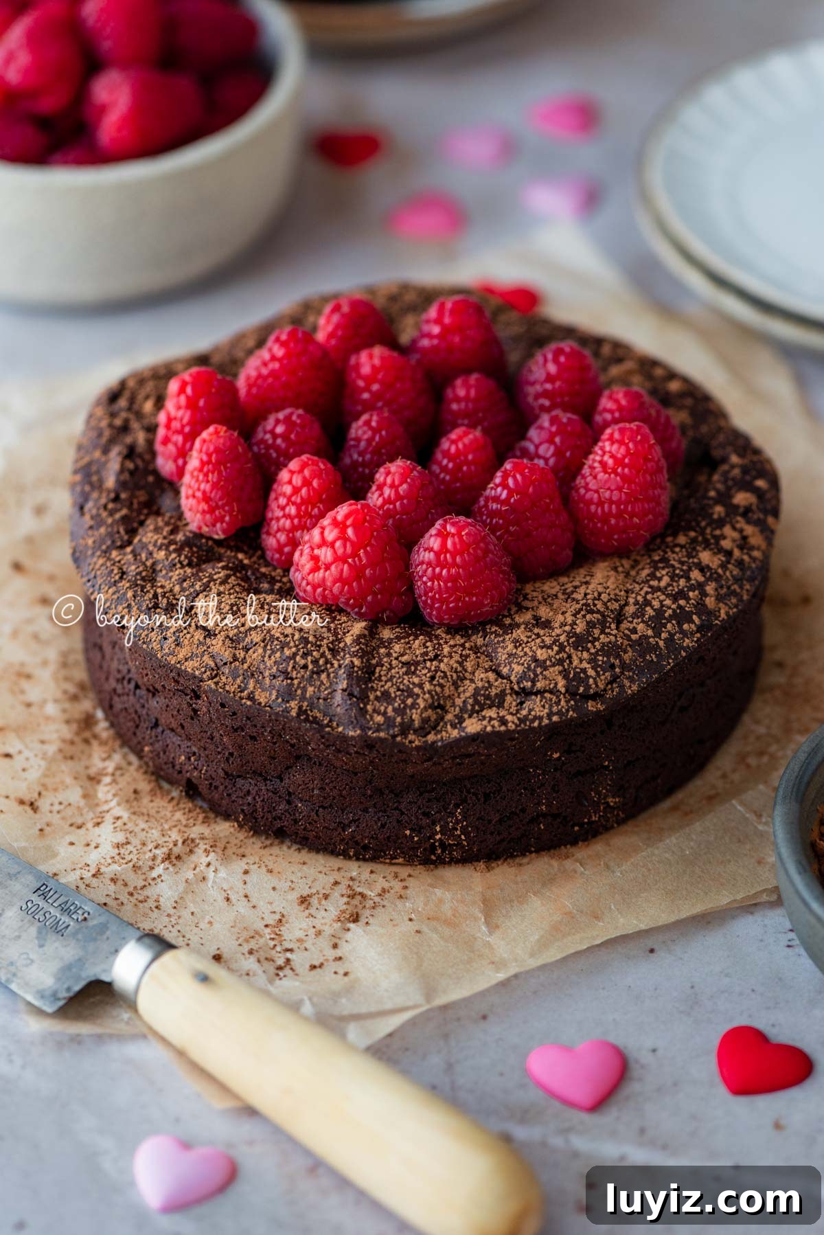 Flourless Mini Chocolate Cake Recipe for Rich Dessert 7 Small flourless chocolate cake topped with cocoa powder and fresh raspberries on parchment paper | All images © Beyond the Butter®