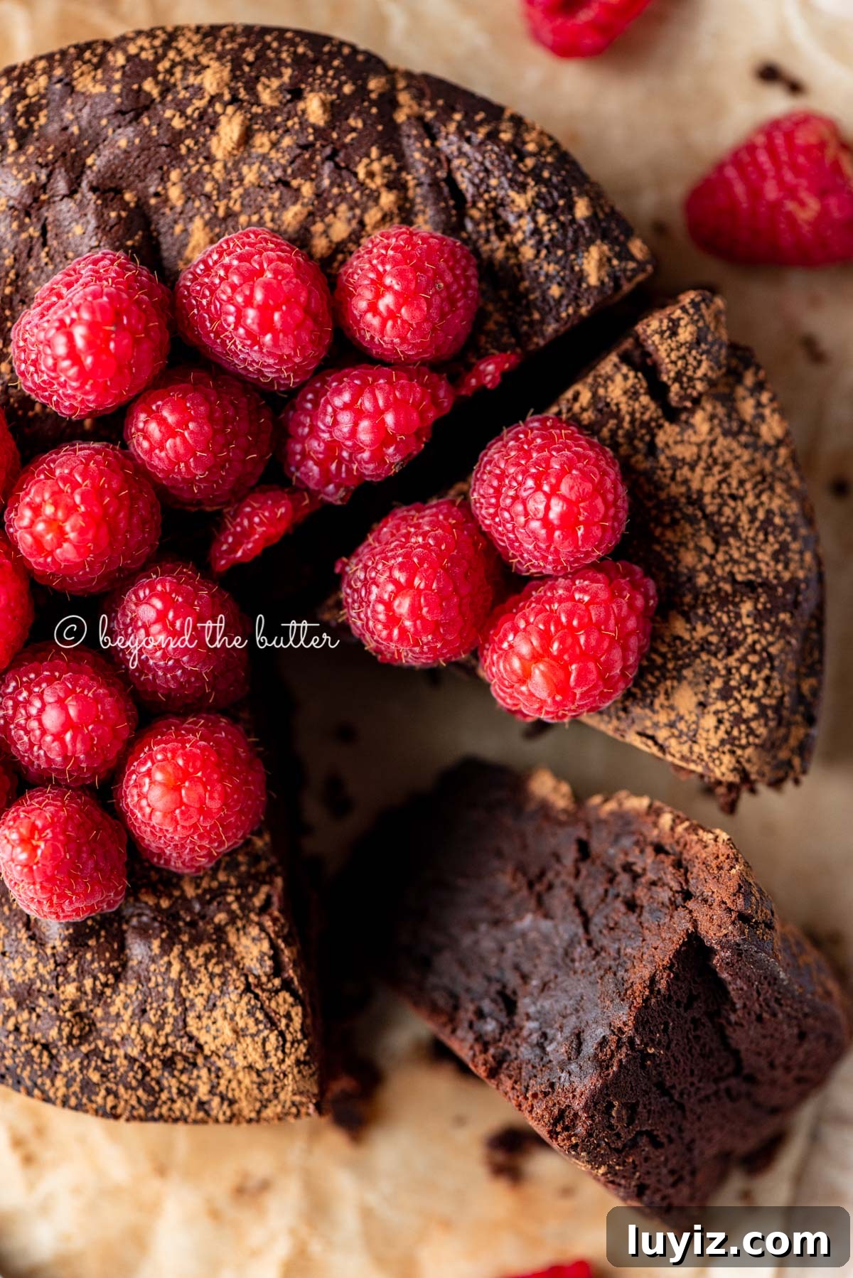 Flourless Mini Chocolate Cake Recipe for Rich Dessert 9 Sliced small flourless chocolate cake topped with cocoa powder and fresh raspberries on parchment paper | All images © Beyond the Butter®