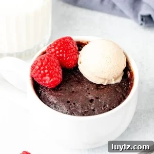 Chocolate mug cake with a scoop of ice cream